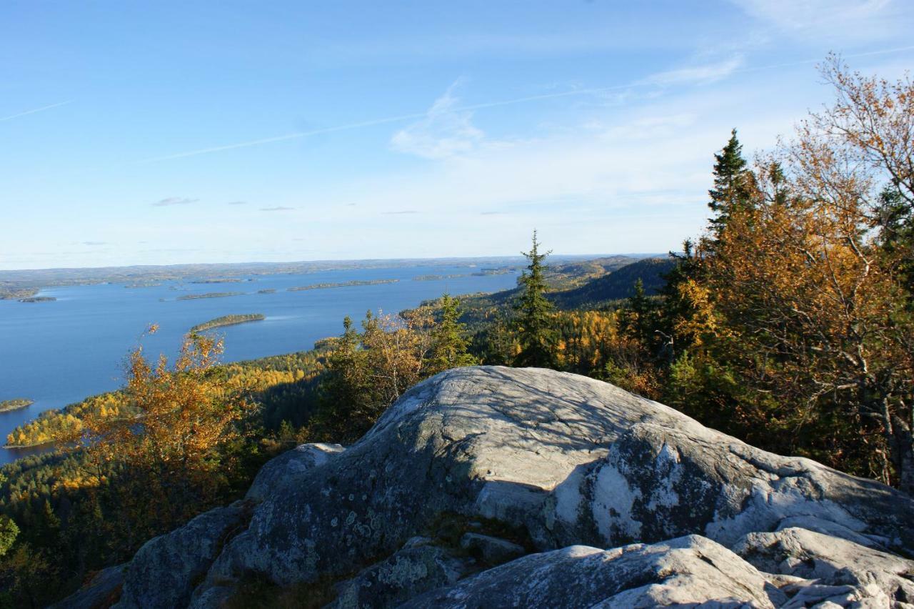 Paimentupa Koli (Lieksa)