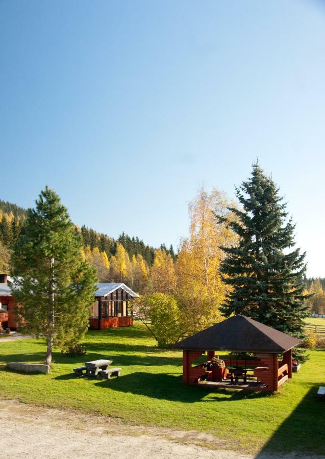 Farm stay Paimentupa Koli (Lieksa)