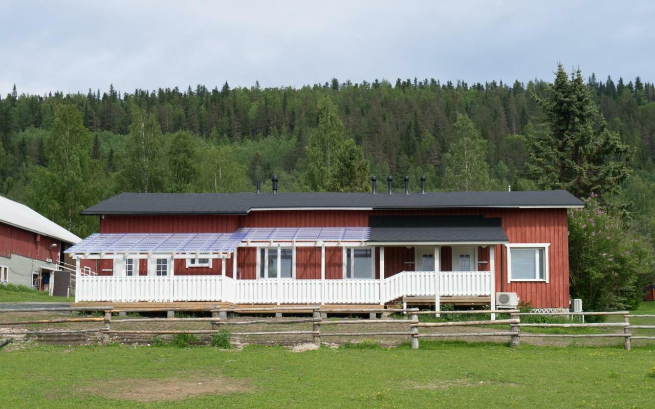 Paimentupa * Koli (Lieksa)