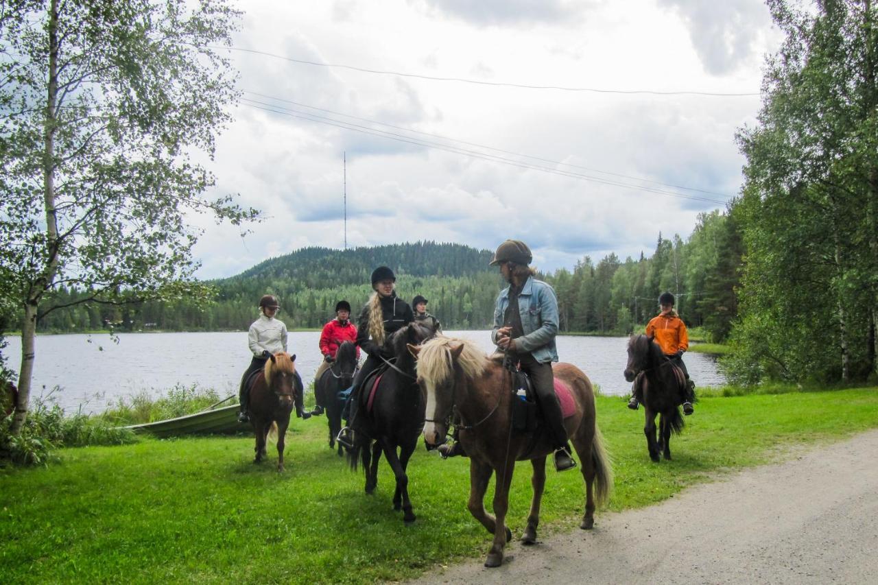 Paimentupa Farm stay Koli (Lieksa)